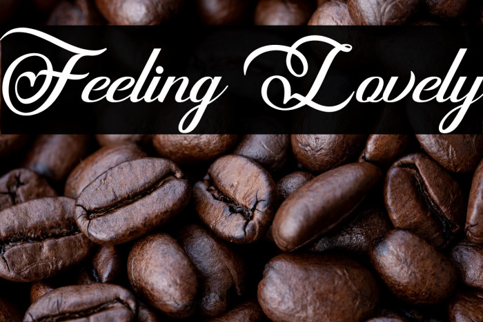 Feeling Lovely Example 2