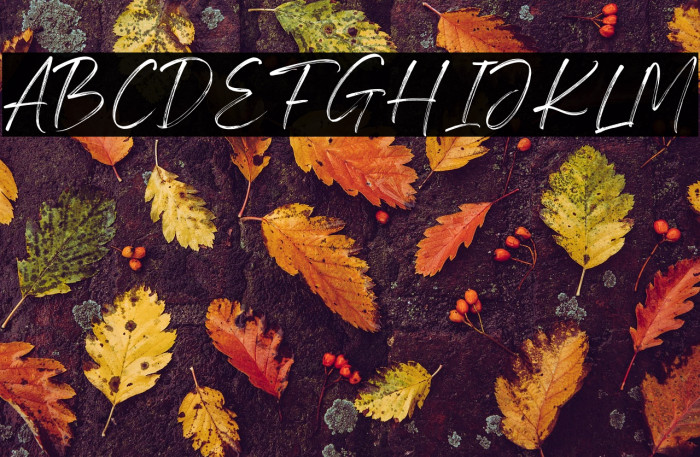 Feeling Steady Personal use fon Example 1