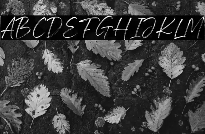 Feeling Steady Personal use fon Font examples