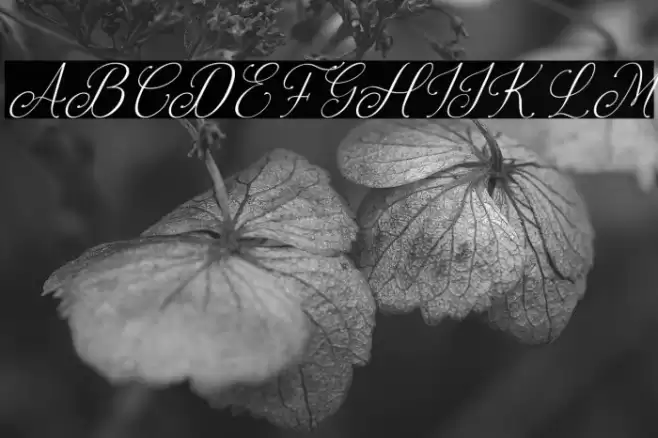 Feeling Together Personal Use Font examples