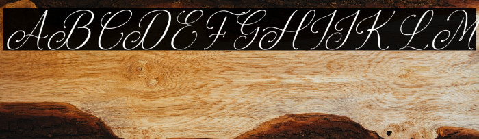 Feeling Together Personal Use Example 3