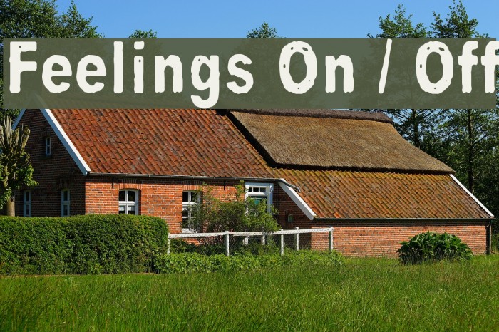 Feelings On / Off Font examples