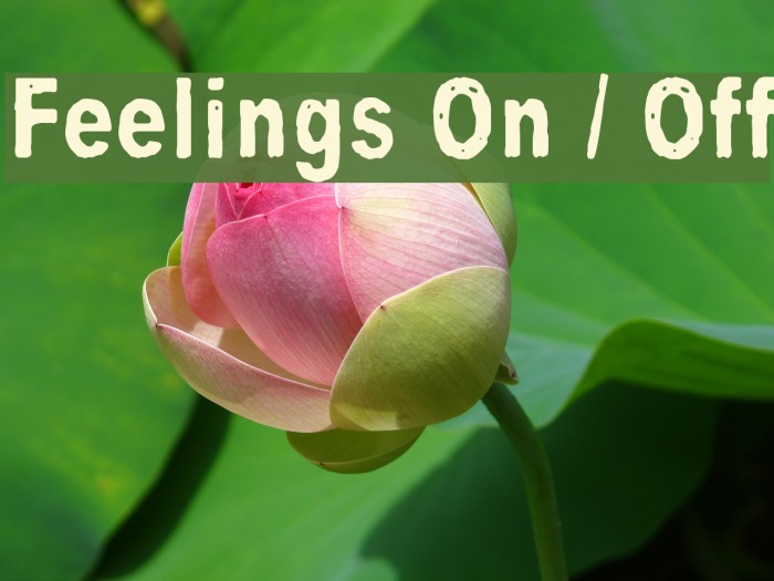 Feelings On / Off Font examples