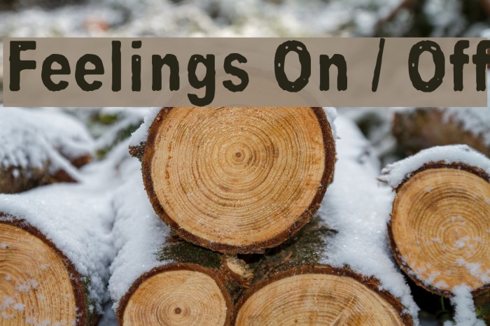 Feelings On / Off Font examples
