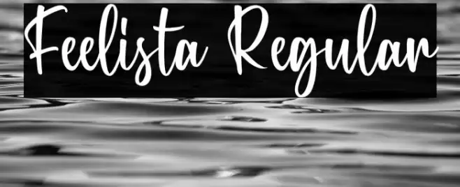 Feelista Regular Font examples