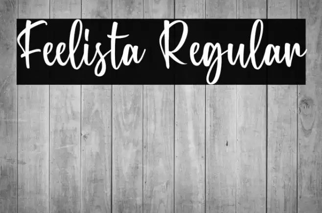 Feelista Regular Font examples