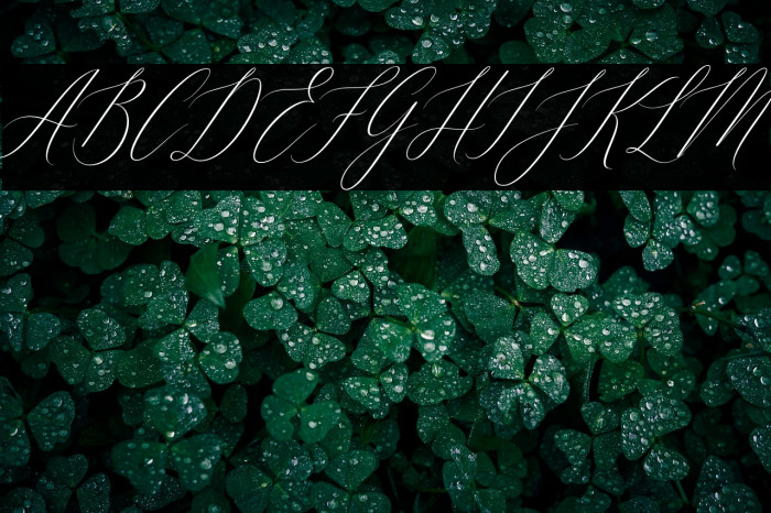 Feelsmooth Example 1