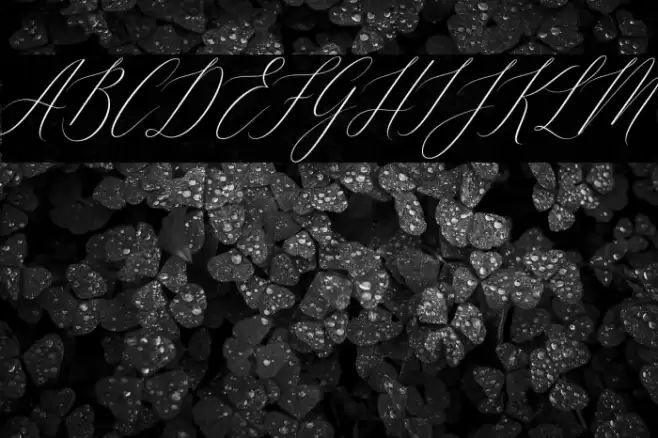 Feelsmooth Font examples