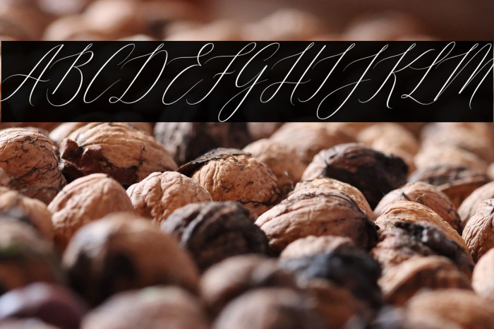 Feelsmooth Example 3