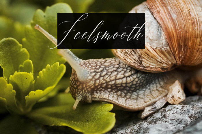 Feelsmooth Example 2