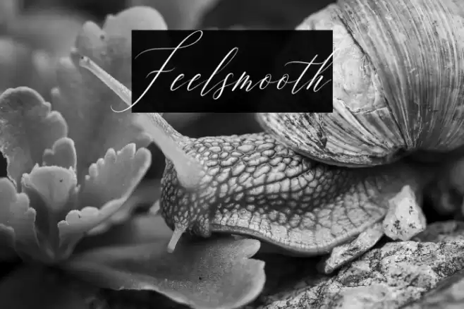 Feelsmooth Font examples