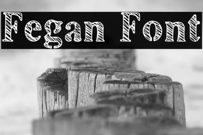 Fegan Font examples