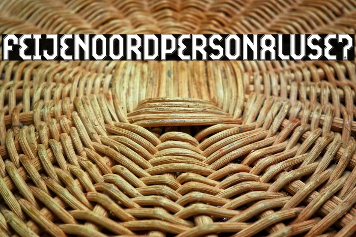 Feijenoord Personal Use 7 Example 3