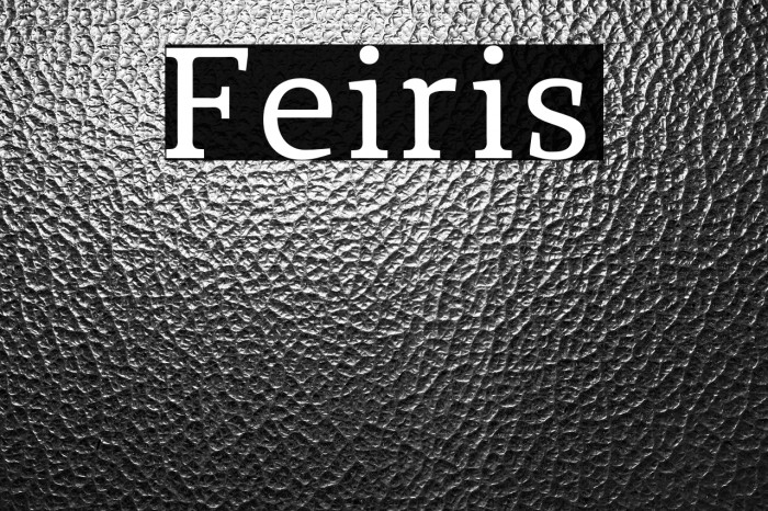 Feiris Example 3
