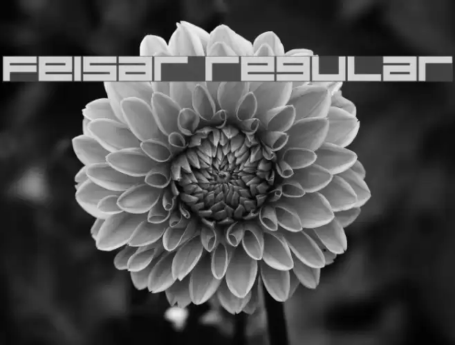 Feisar Regular Font examples