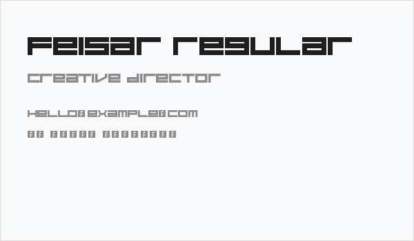 Feisar Regular Business Card