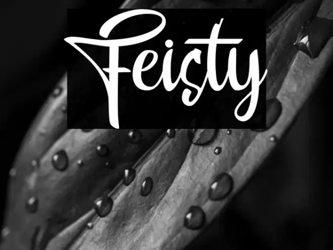 Feisty Font examples