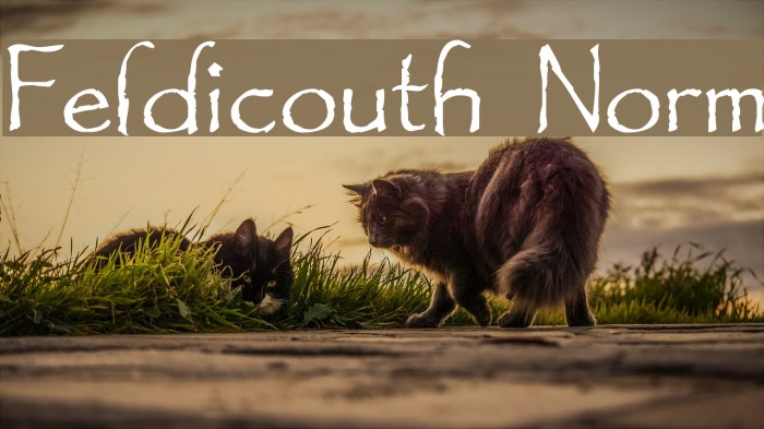 Feldicouth Norm Font examples