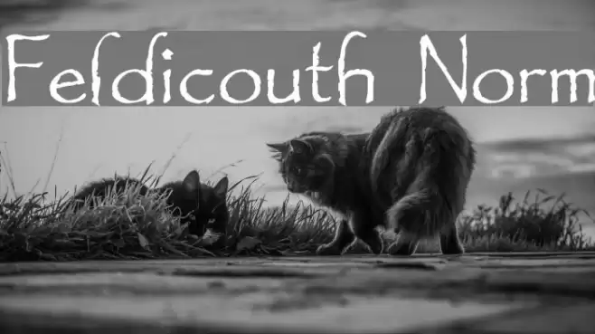 Feldicouth Norm Schriftart examples