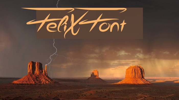 FeliX Font examples