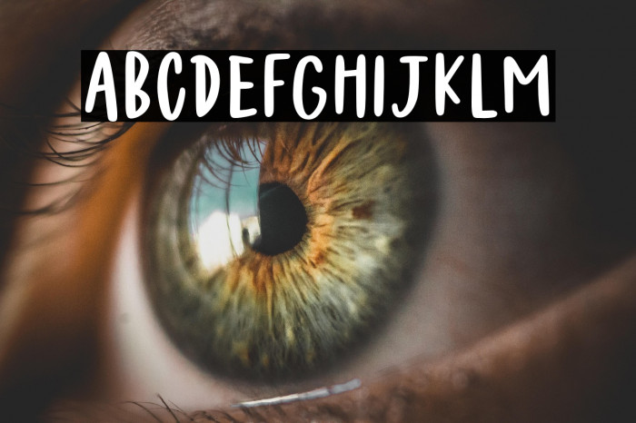 Felichiya Collection Sans Bold Example 1