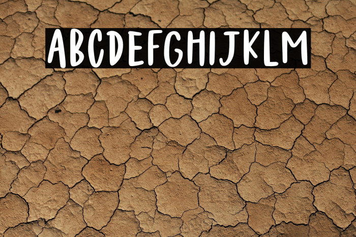 Felichiya Collection Sans Bold Example 2