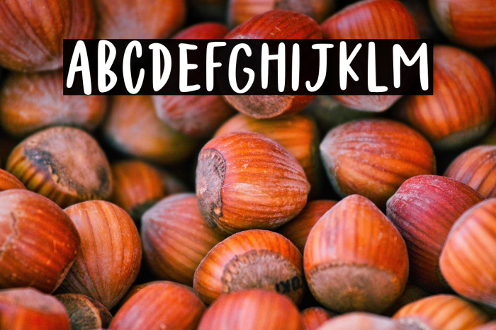 Felichiya Collection Sans Bold Example 3