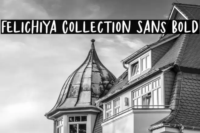 Felichiya Collection Sans Bold Font examples