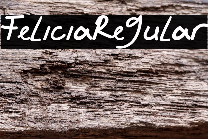 Felicia Regular Example 2