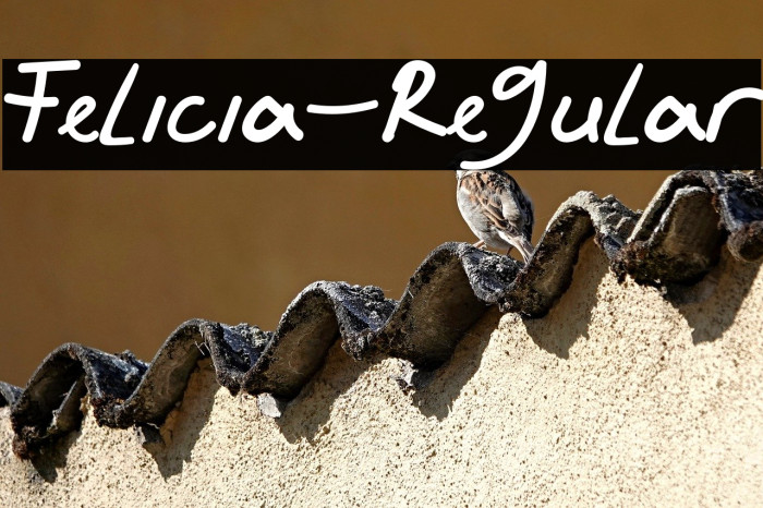 Felicia-Regular Example 1