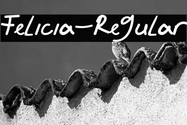 Felicia-Regular Font examples