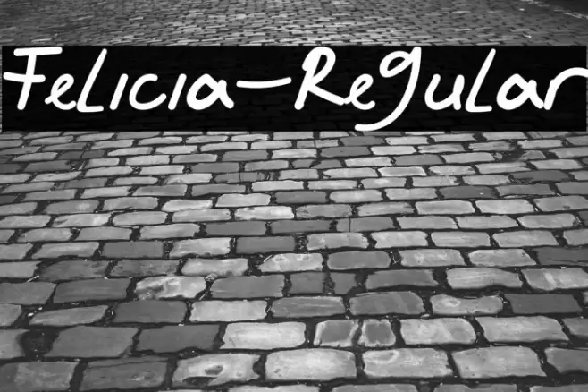 Felicia-Regular Font examples