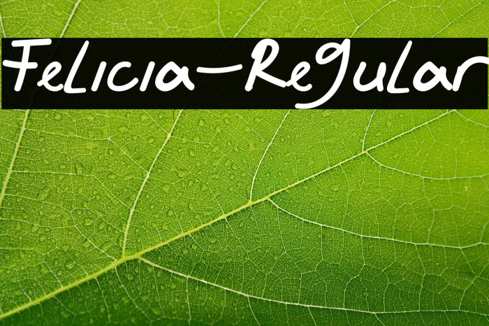 Felicia-Regular Example 3
