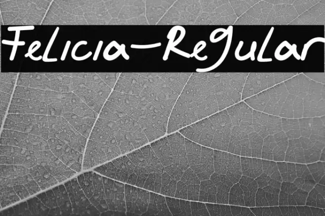 Felicia-Regular Font examples