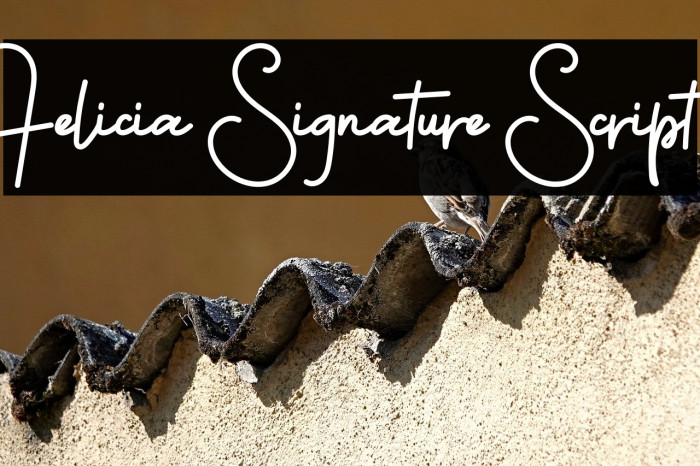 Felicia Signature Script Example 1