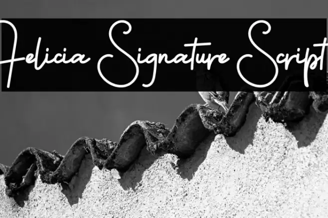 Felicia Signature Script Font examples