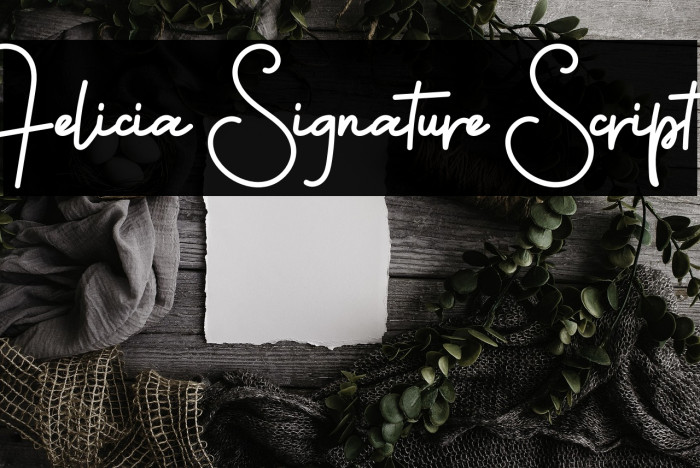 Felicia Signature Script Example 3