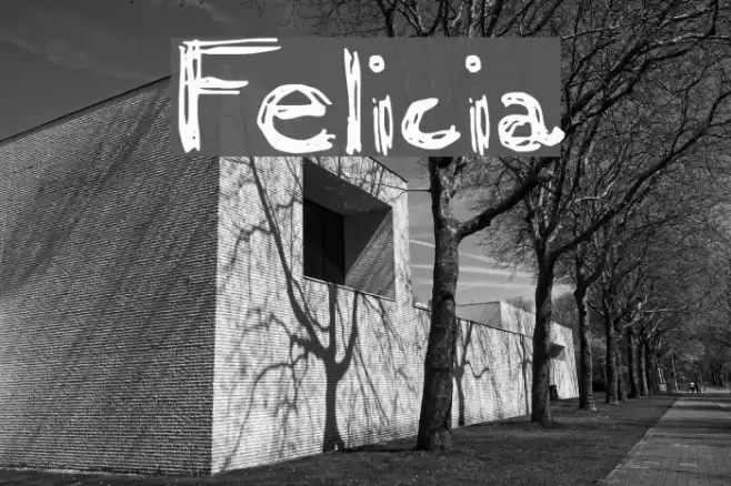 Felicia Font examples