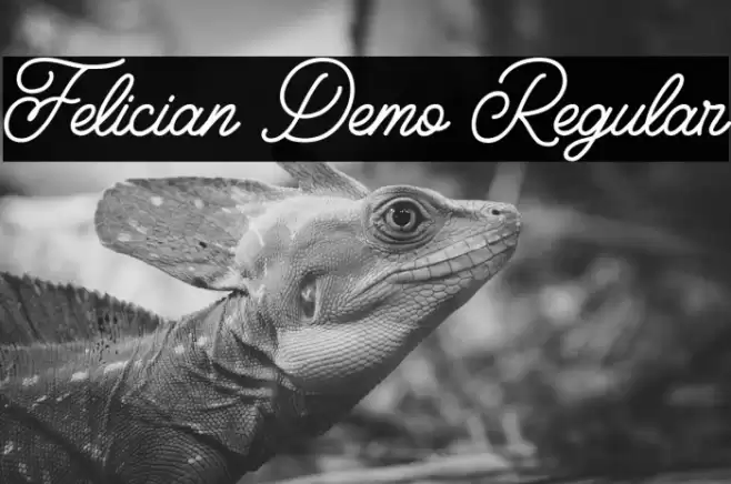 Felician Demo Regular Font examples