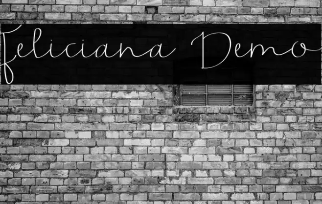 Feliciana Demo Font examples