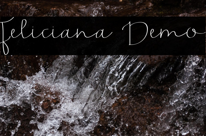 Feliciana Demo Example 3