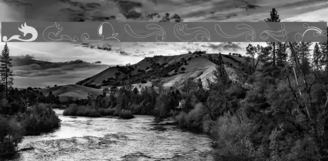 Felicity Font examples