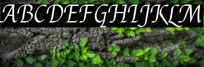 Felipa Regular خط examples