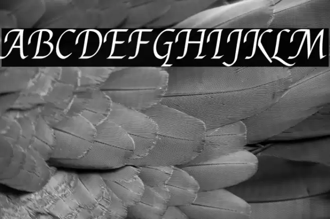 Felipa Font examples