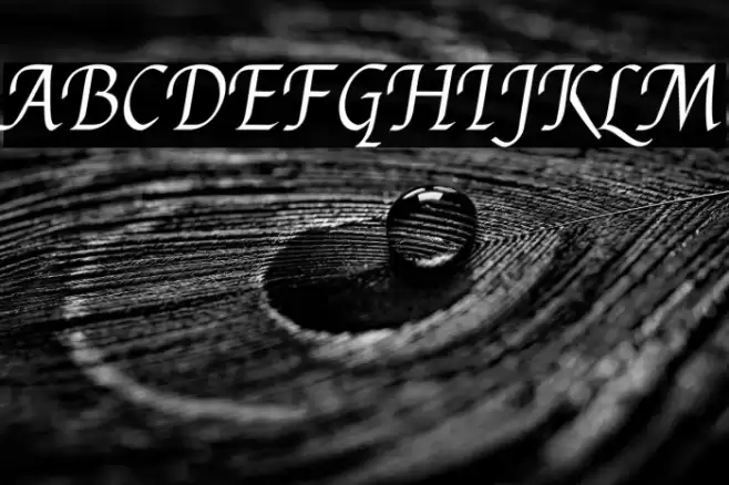 Felipa Font examples