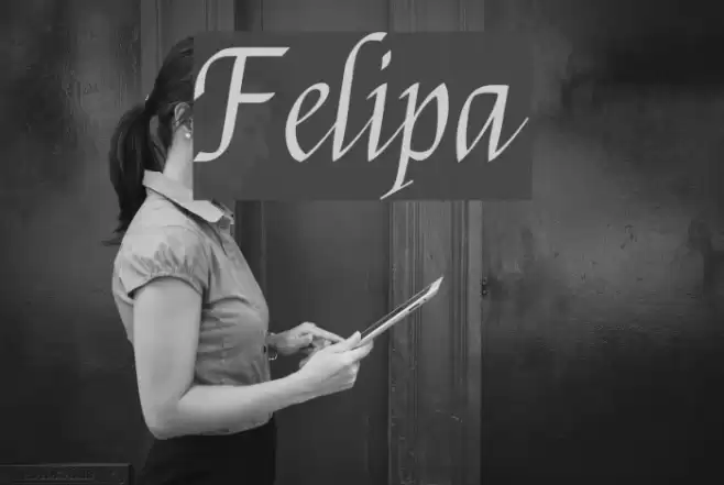 Felipa Schriftart examples