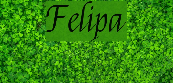 Felipa Schriftart examples