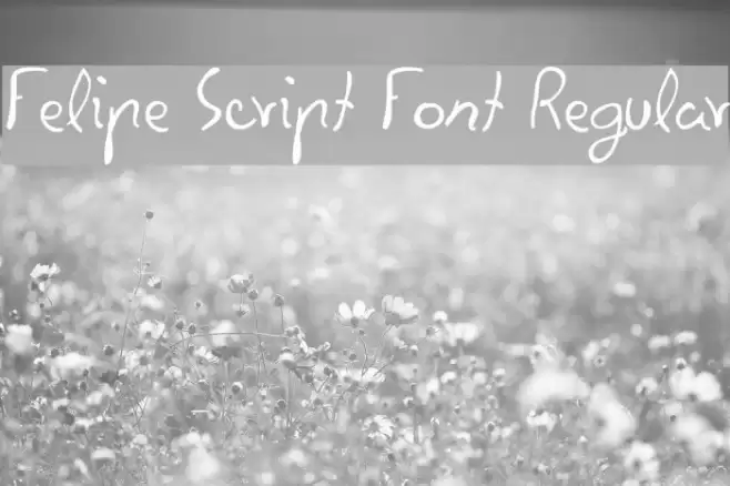 Felipe Script Font Regular Font examples