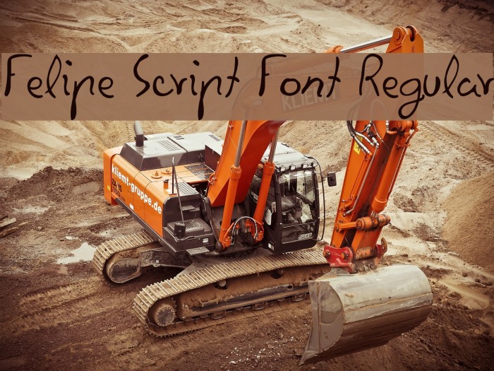 Felipe Script Font Regular Example 3