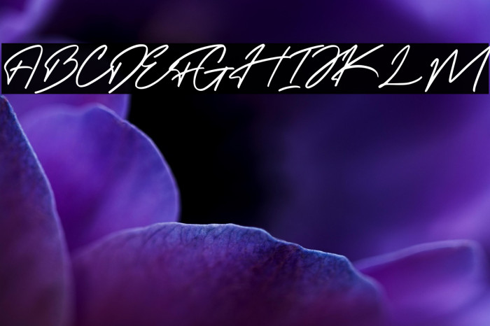 Felisha Roseland Demo Example 1